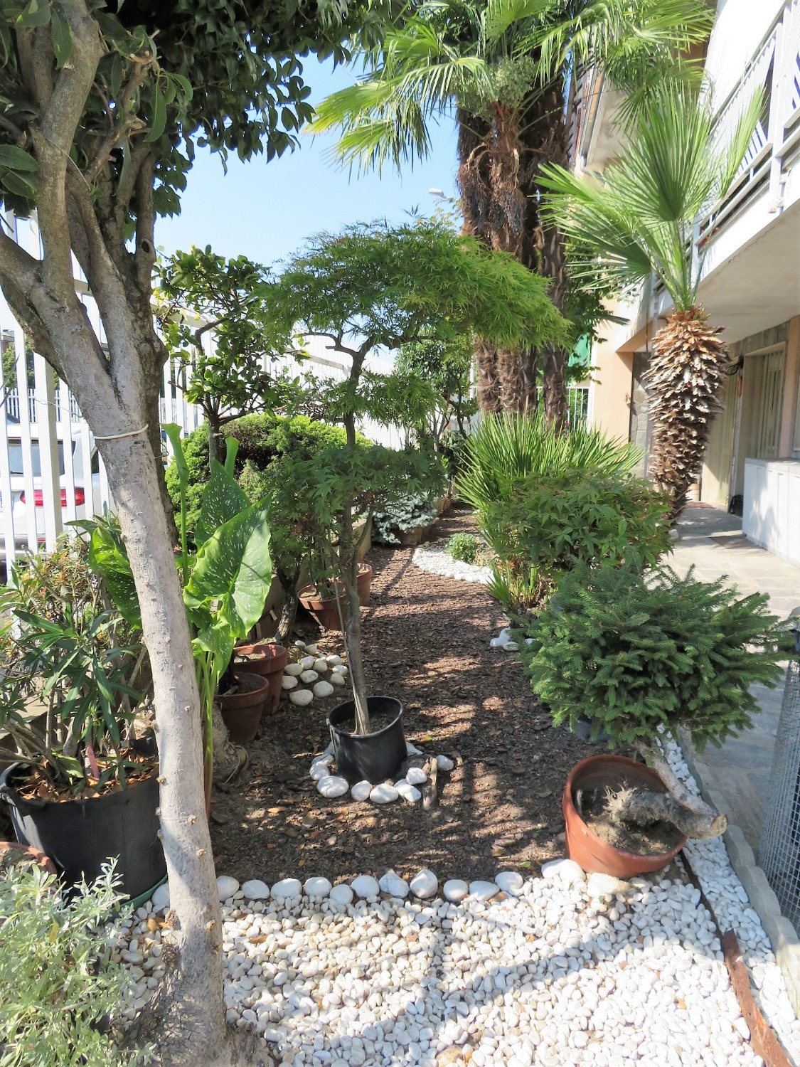 T303 CITTADELLA  2/3LOCALI+SERVIZI CON GIARDINO PRIVATO