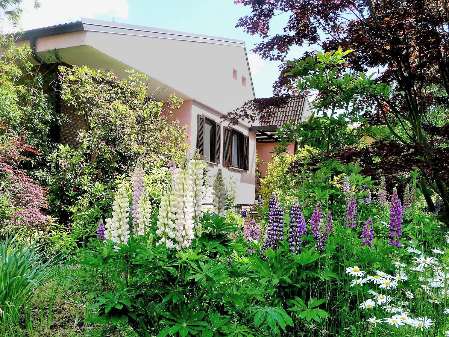 T504 BELLINZAGO NOV. - VILLA INDIPENDENTE CON GIARDINO