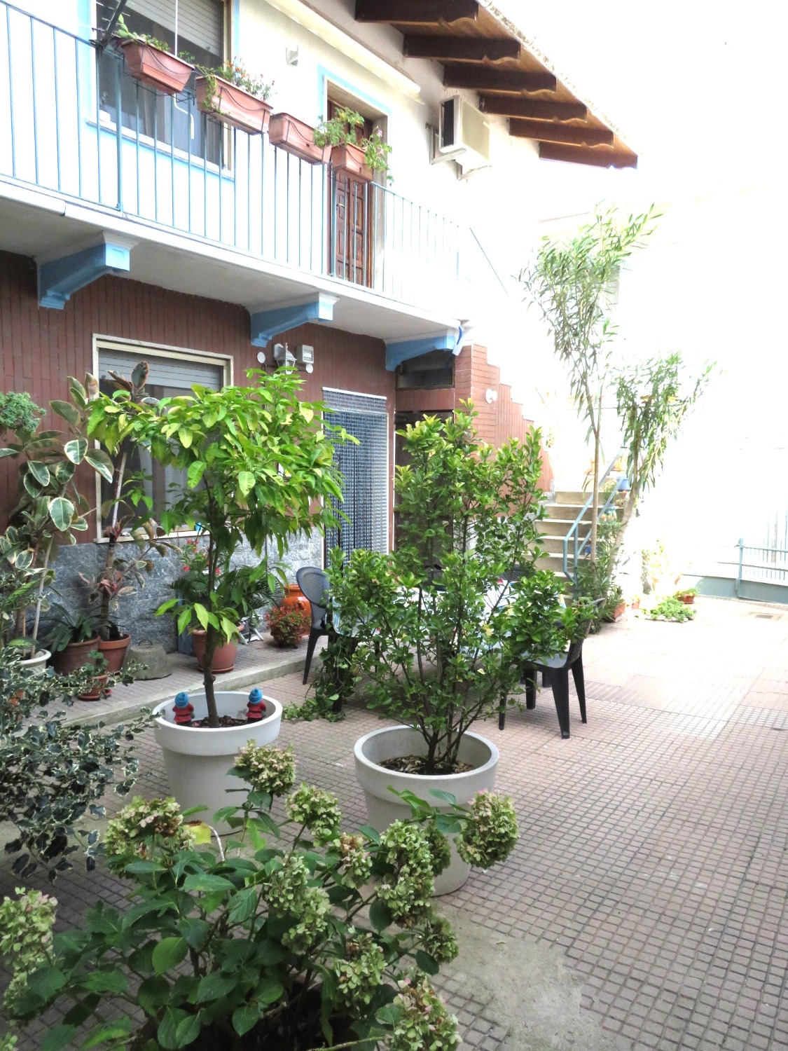 T315 TORRION QUARTARA - CASA SEMI-INDIPENDENTE 