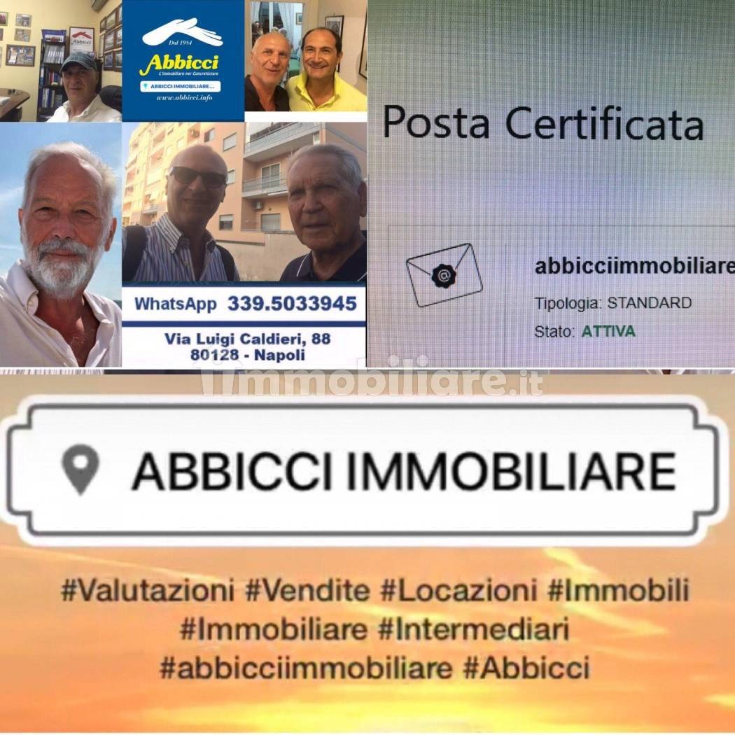 immagine annuncio 10 di 12