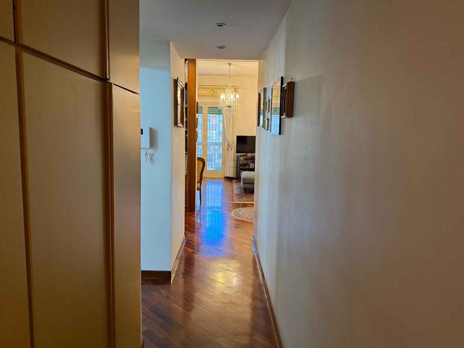 immagine annuncio 5 di 12