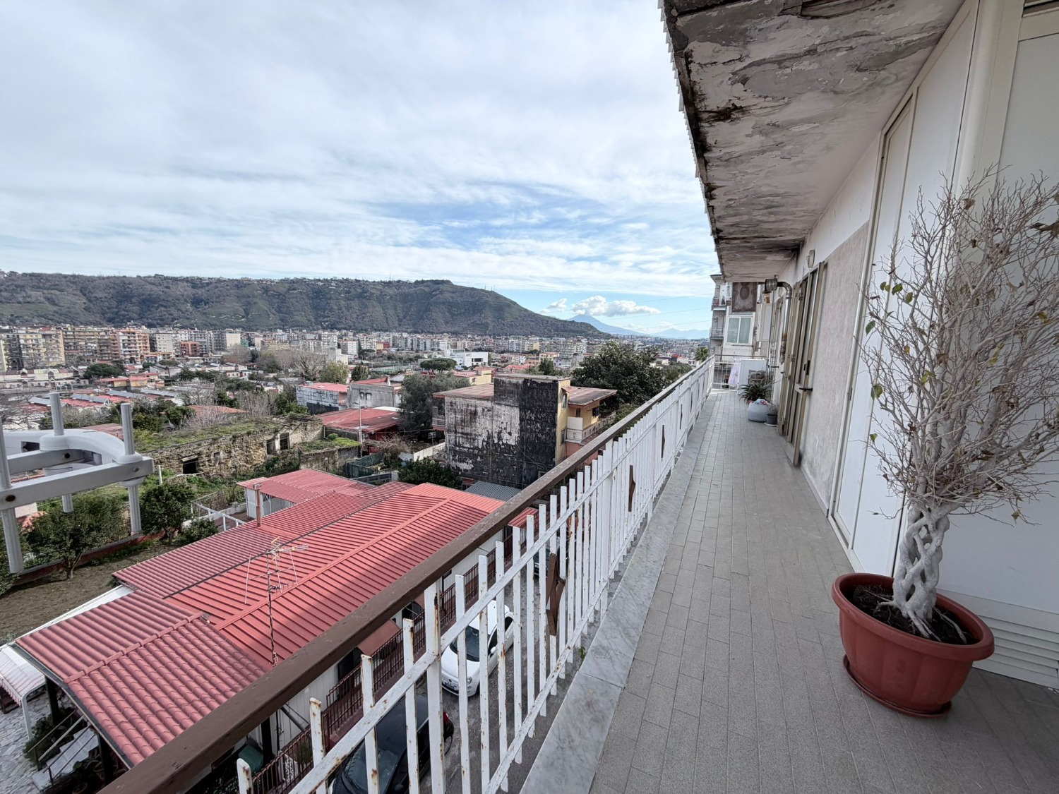 immagine annuncio 10 di 13