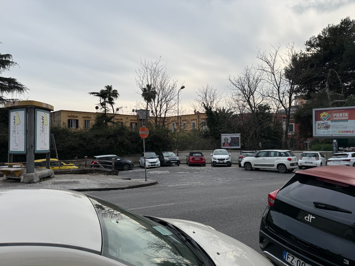 immagine annuncio 1 di 12