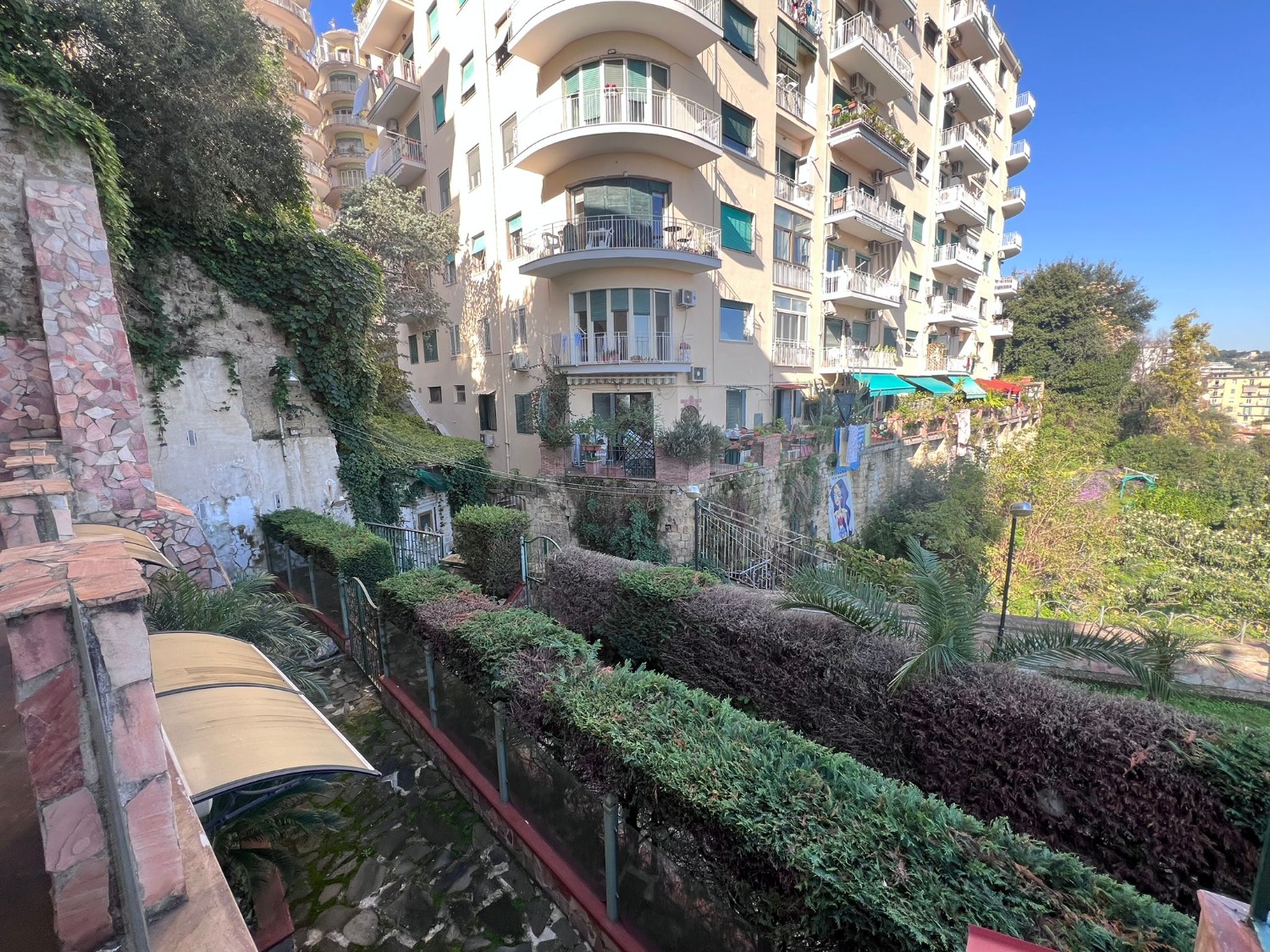 immagine annuncio 5 di 12