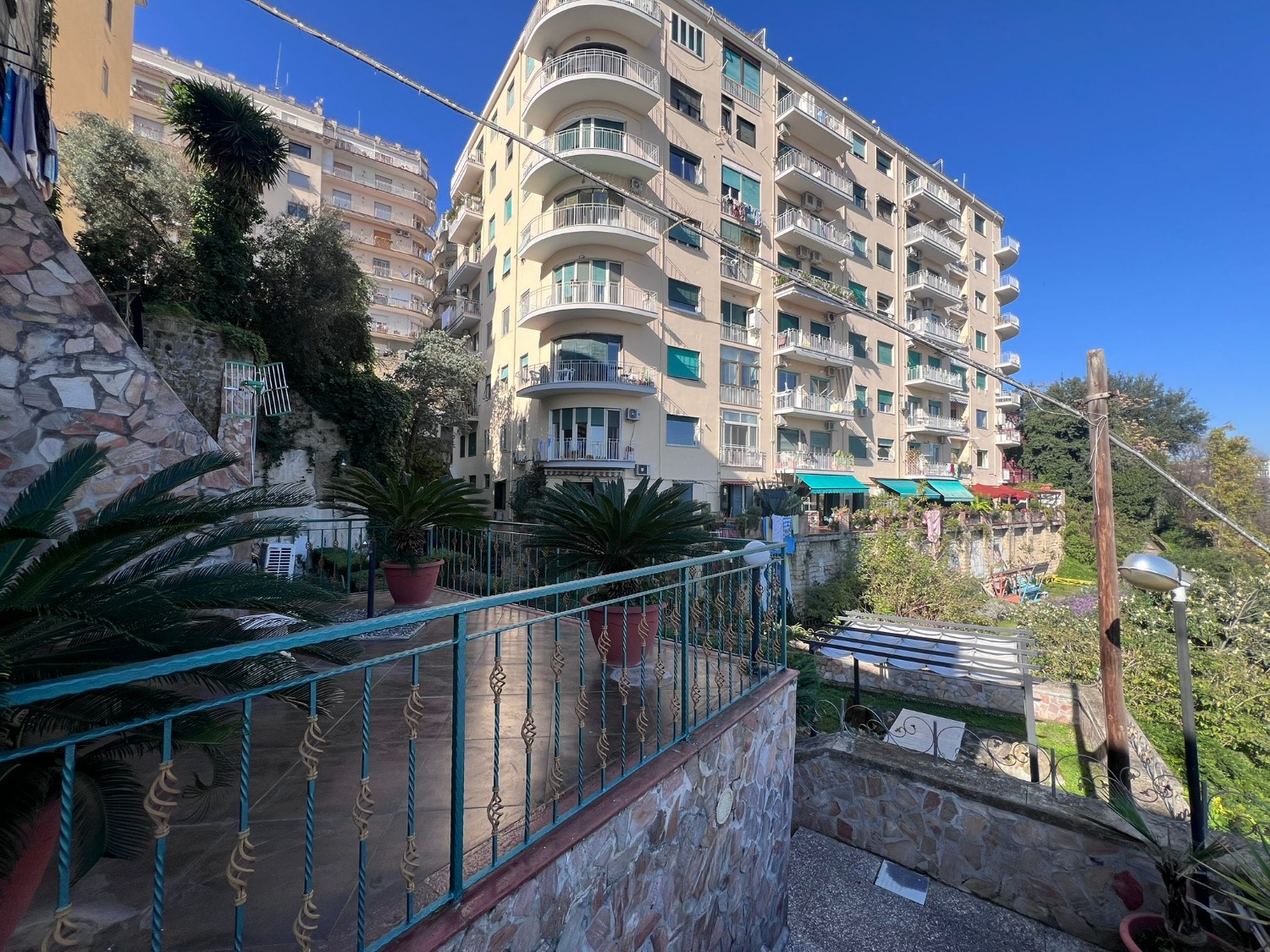 immagine annuncio 6 di 12