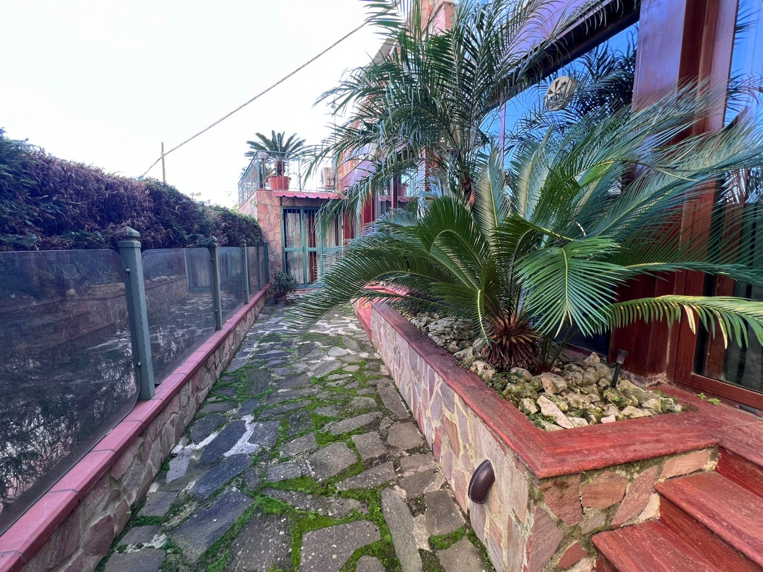 immagine annuncio 7 di 12