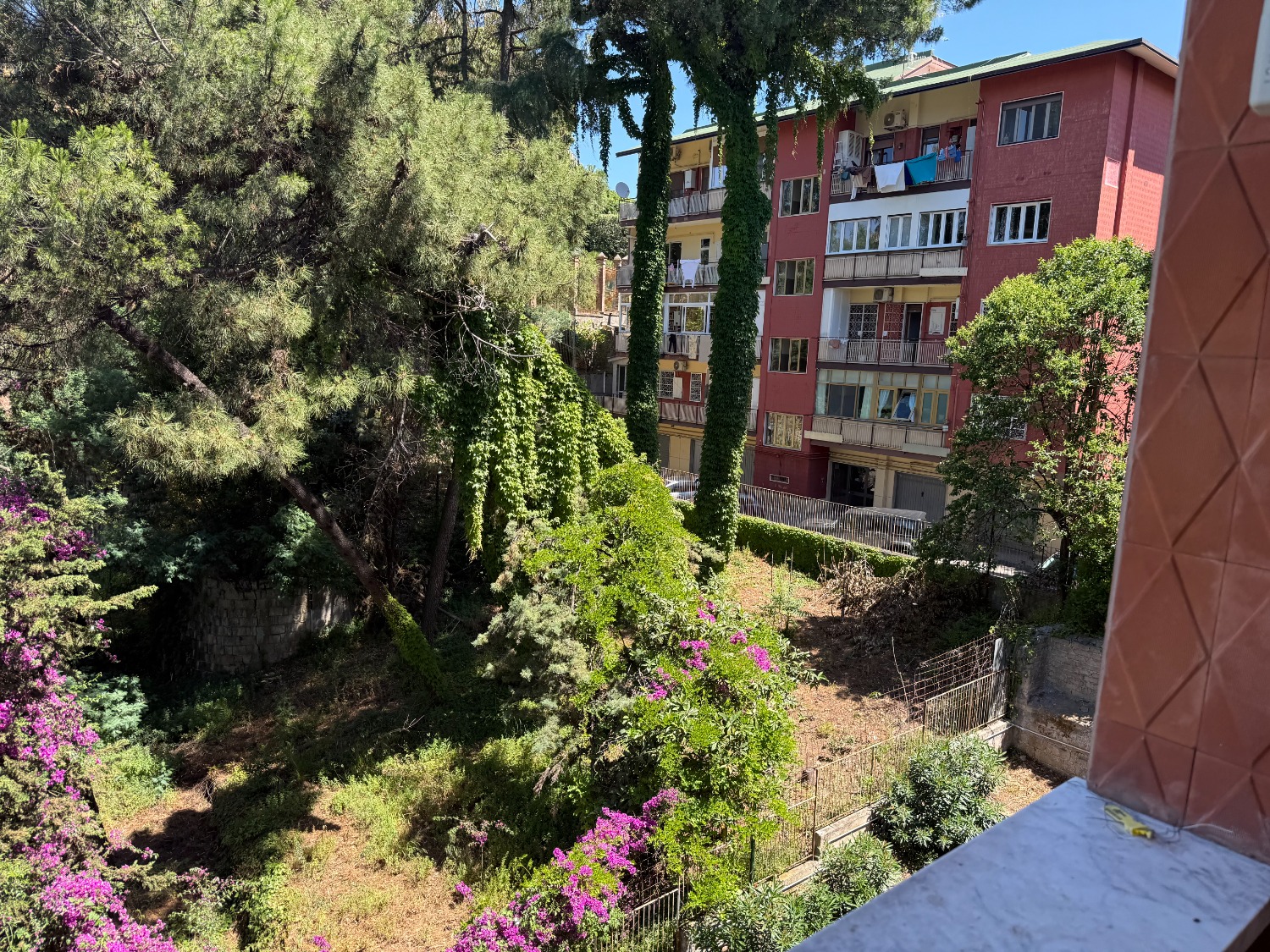 immagine annuncio 9 di 12