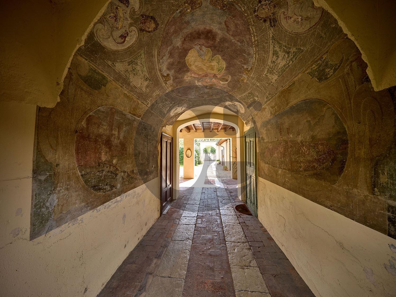 immagine annuncio 9 di 14