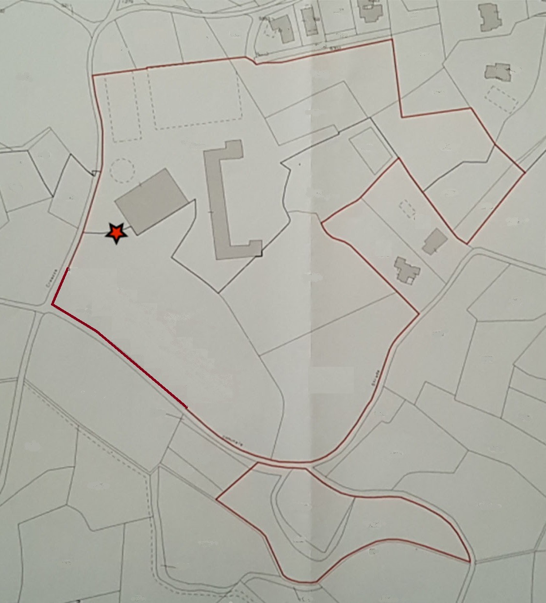 immagine annuncio 12 di 14