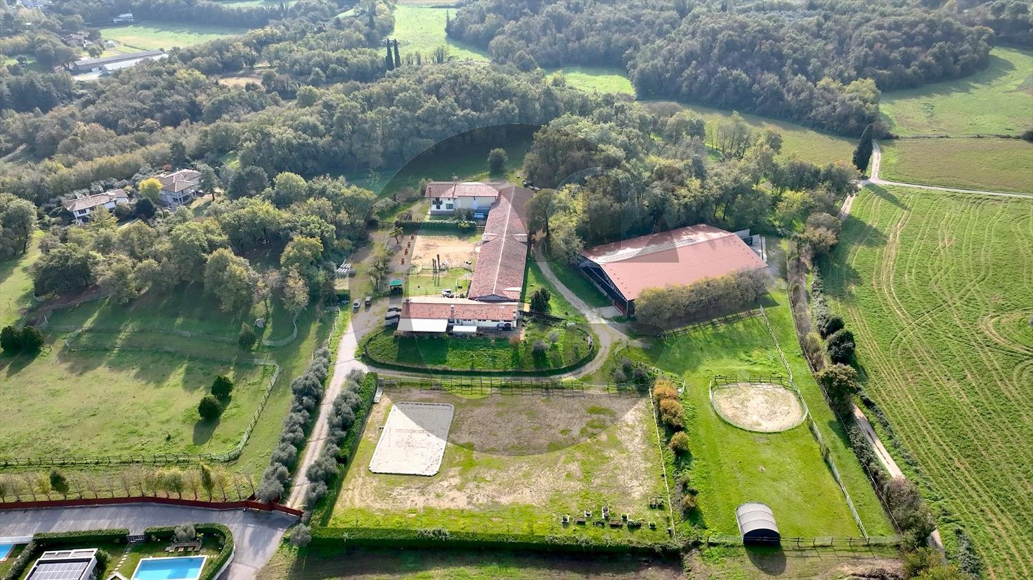 immagine annuncio 3 di 14