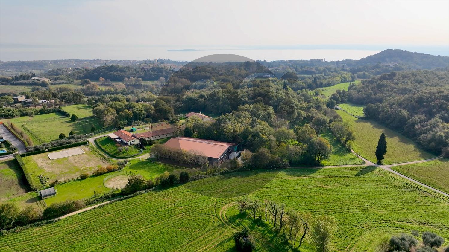 immagine annuncio 5 di 14