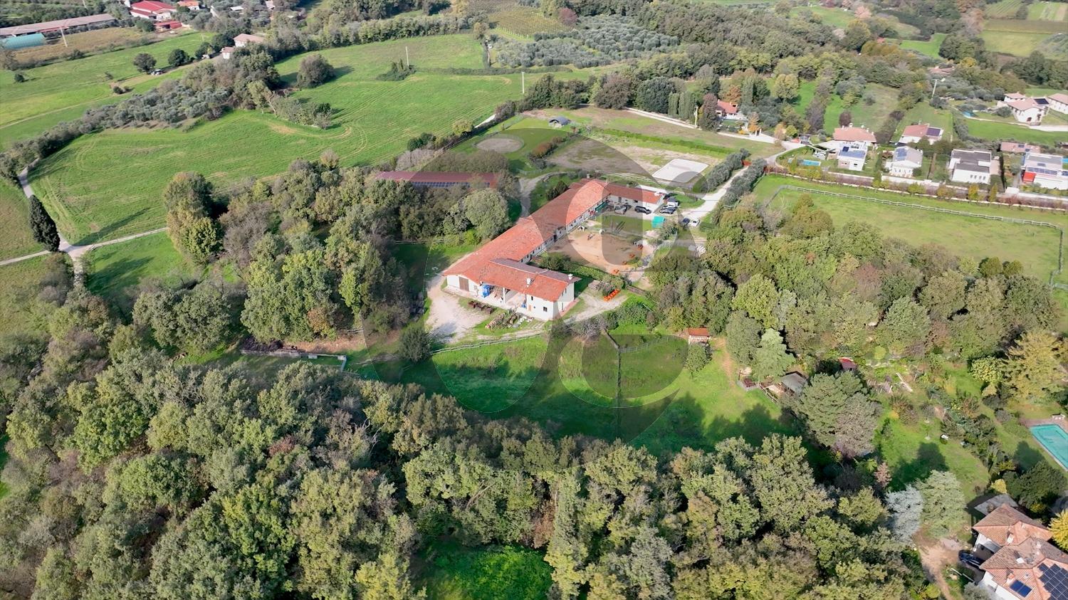 immagine annuncio 7 di 14