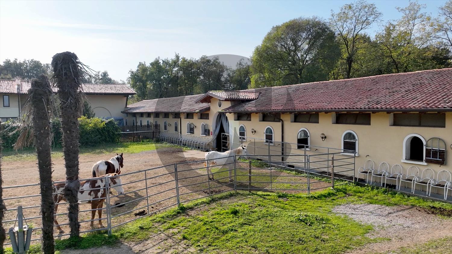 immagine annuncio 10 di 14