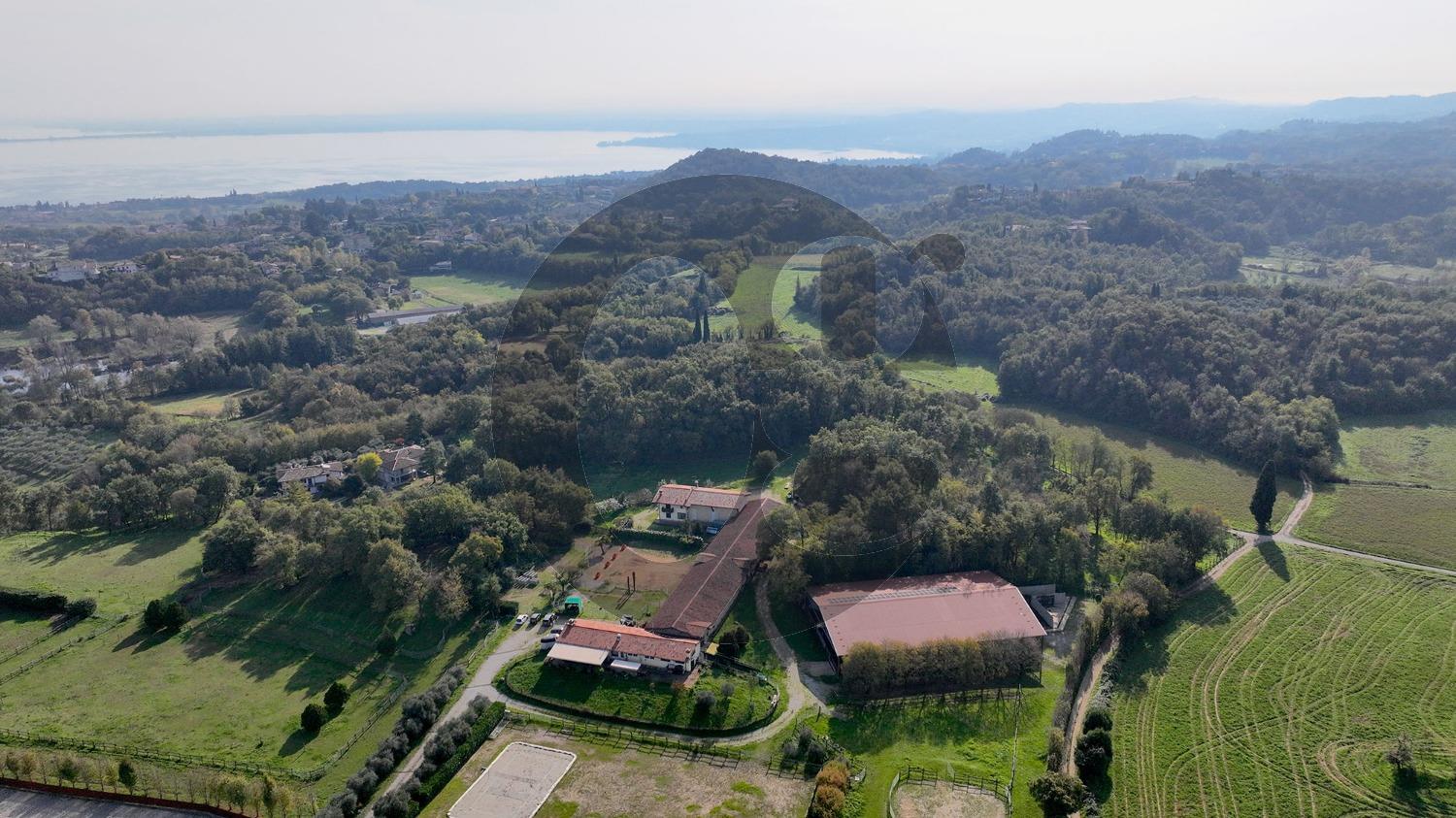 immagine annuncio 11 di 14