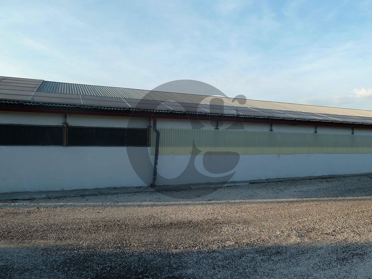 immagine annuncio 3 di 9