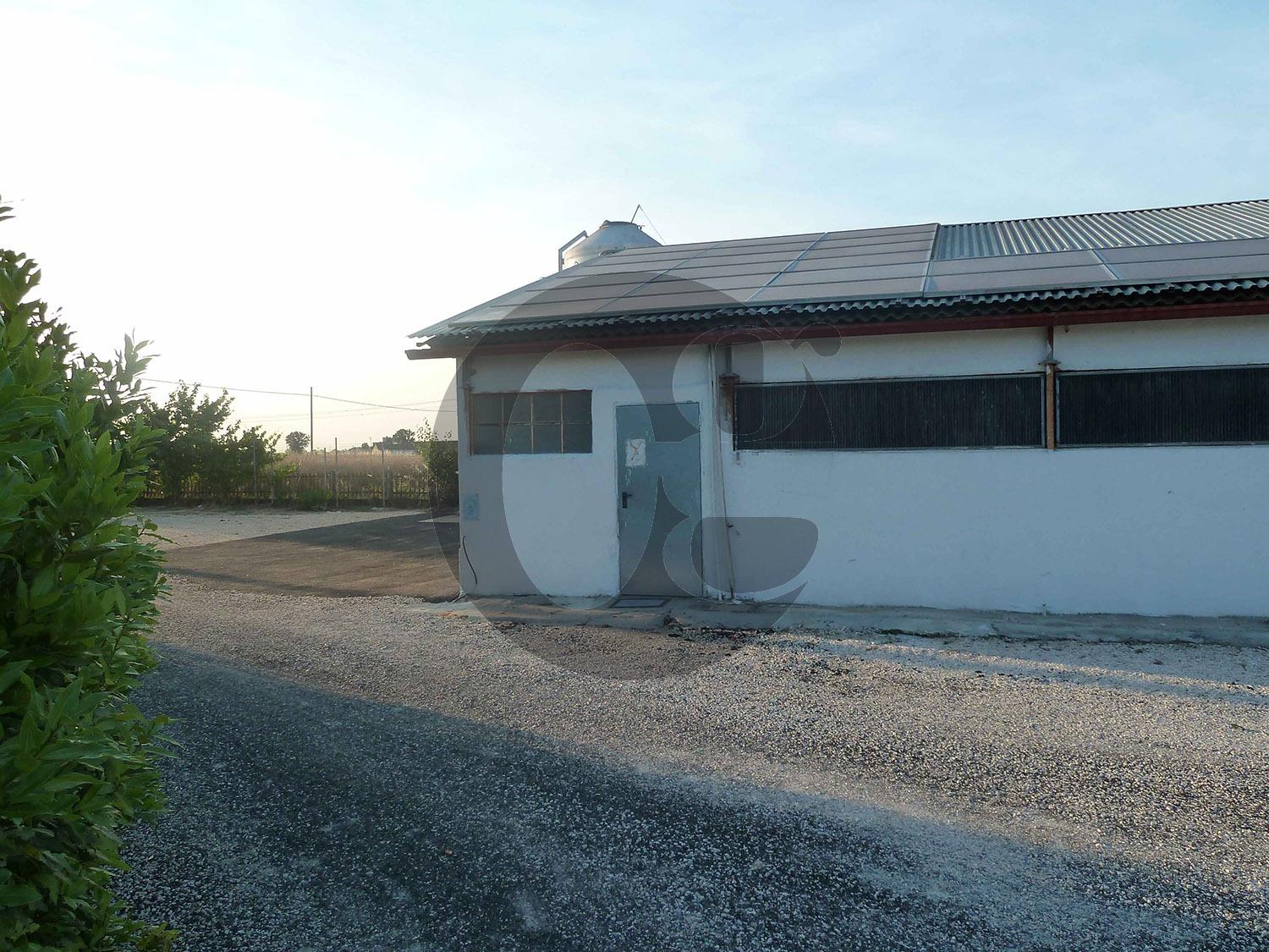 immagine annuncio 4 di 9