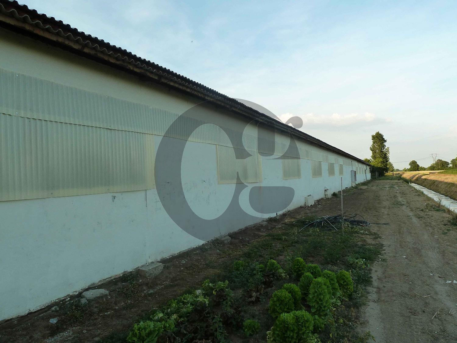 immagine annuncio 5 di 9