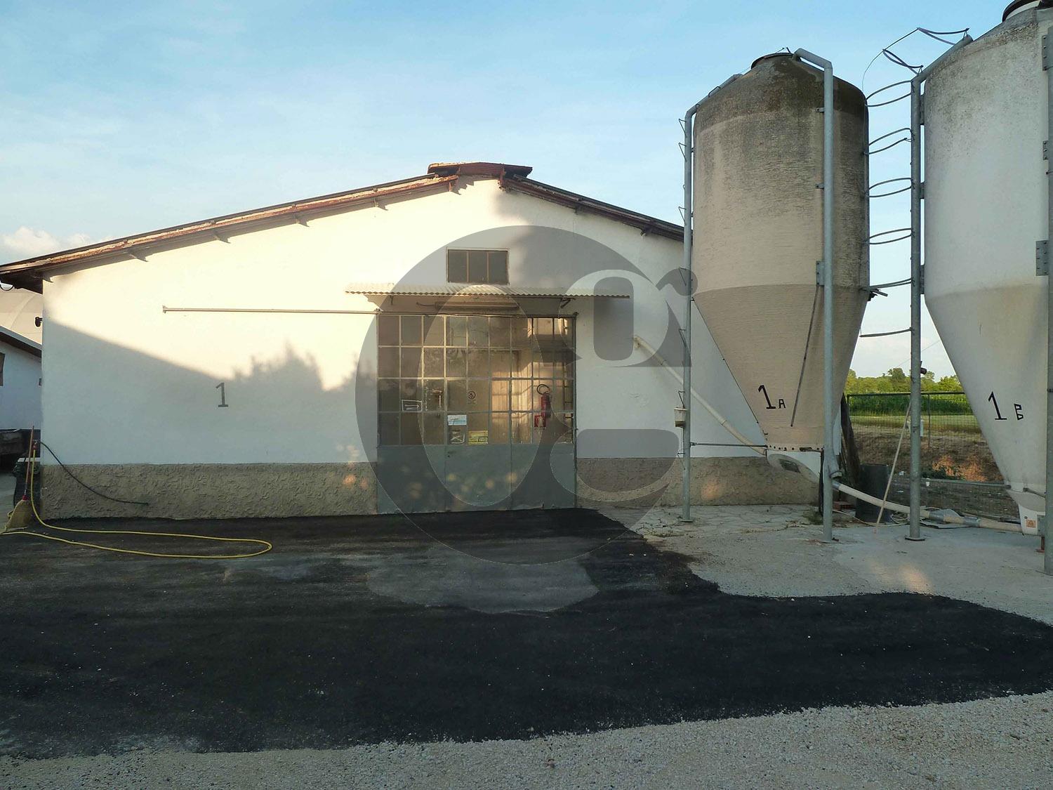 immagine annuncio 6 di 9