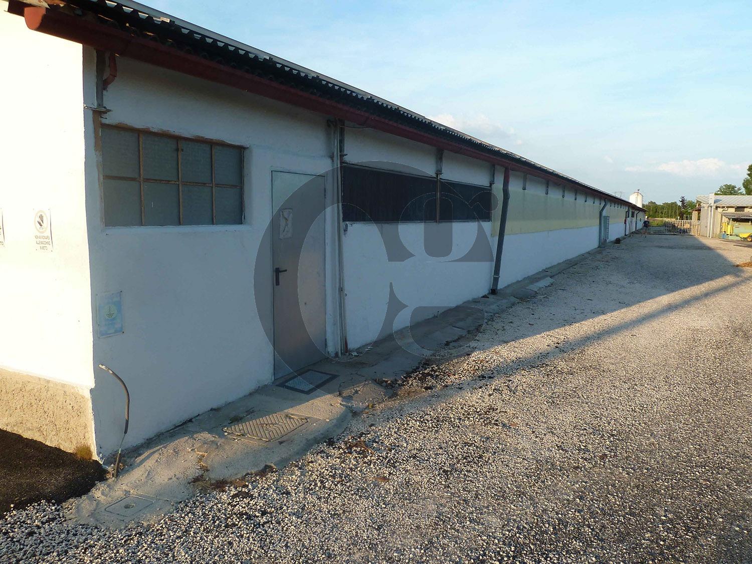 immagine annuncio 7 di 9