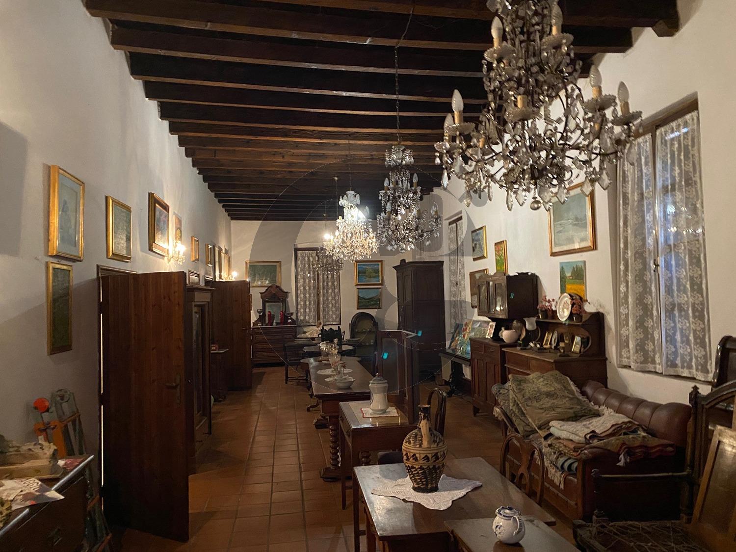 immagine annuncio 11 di 14