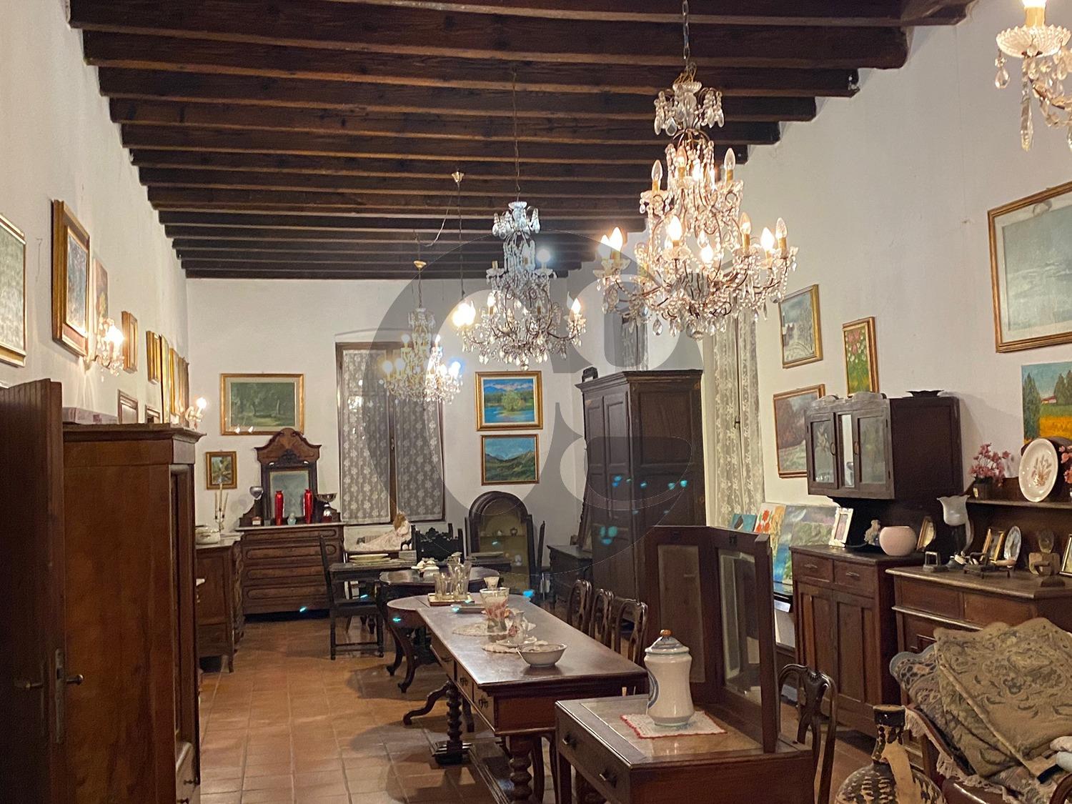 immagine annuncio 10 di 14