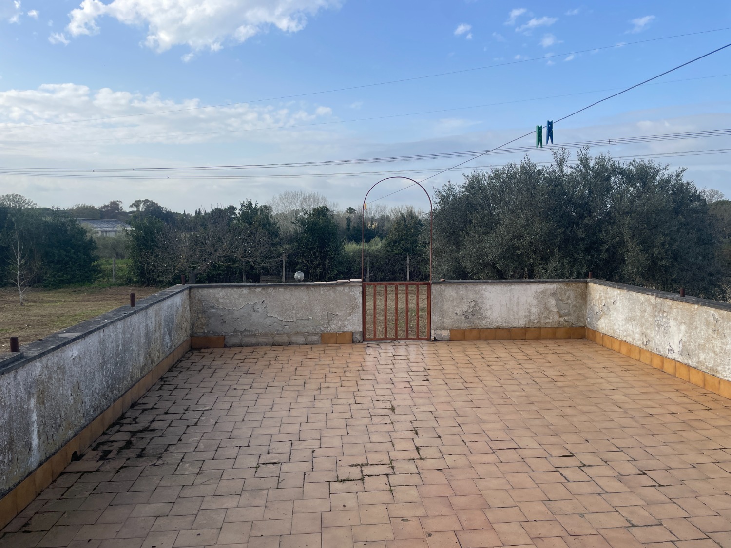 immagine annuncio 11 di 12