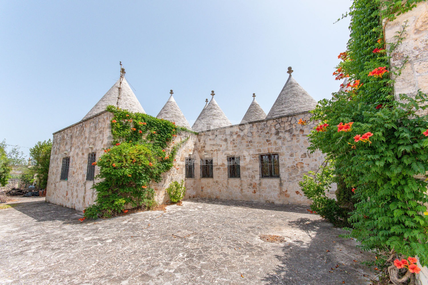 immagine annuncio 3 di 14