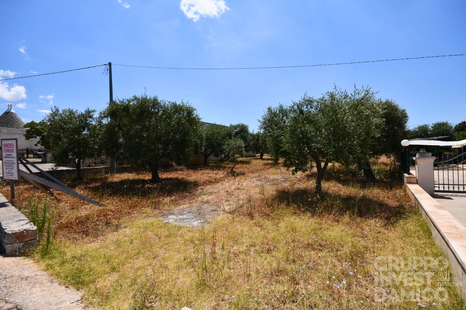 immagine annuncio 1 di 13