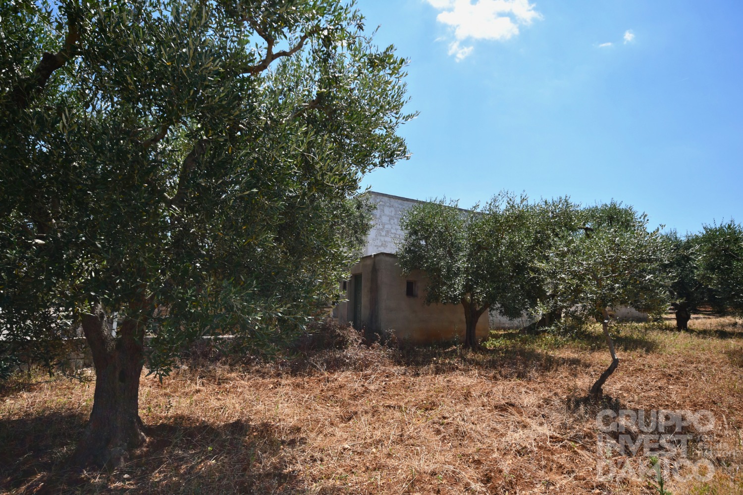 immagine annuncio 2 di 13