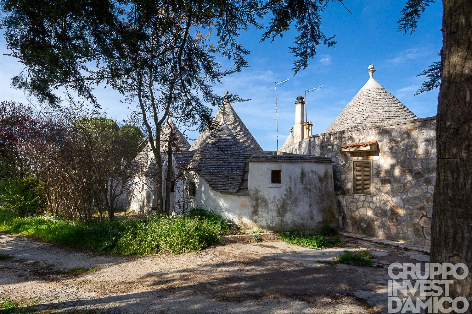 immagine annuncio 4 di 13