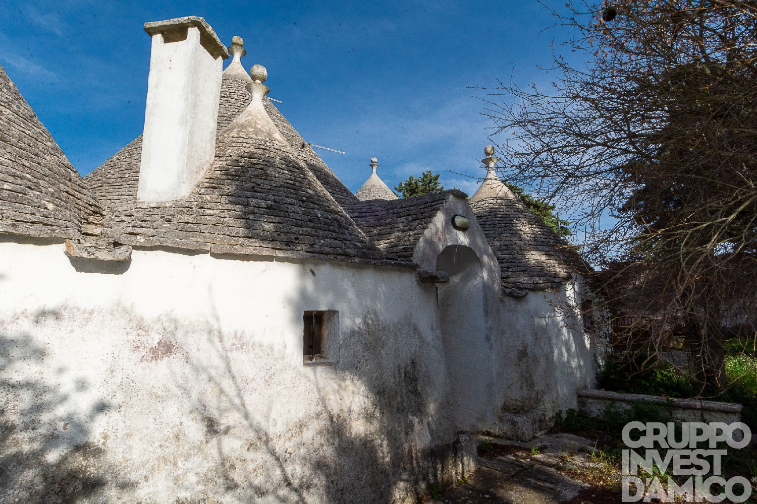 immagine annuncio 2 di 13