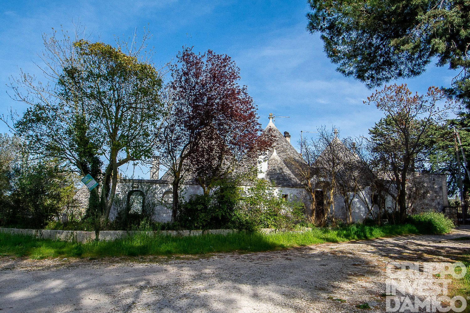 immagine annuncio 1 di 13