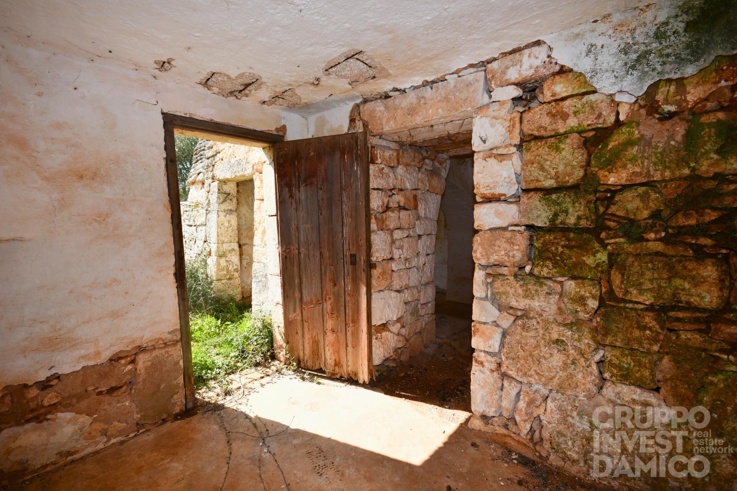immagine annuncio 5 di 14