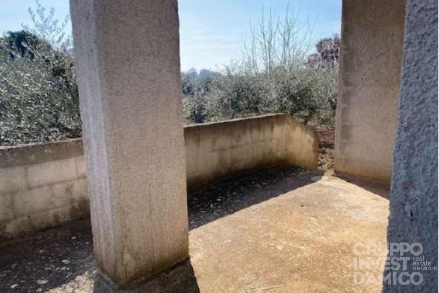 immagine annuncio 7 di 14