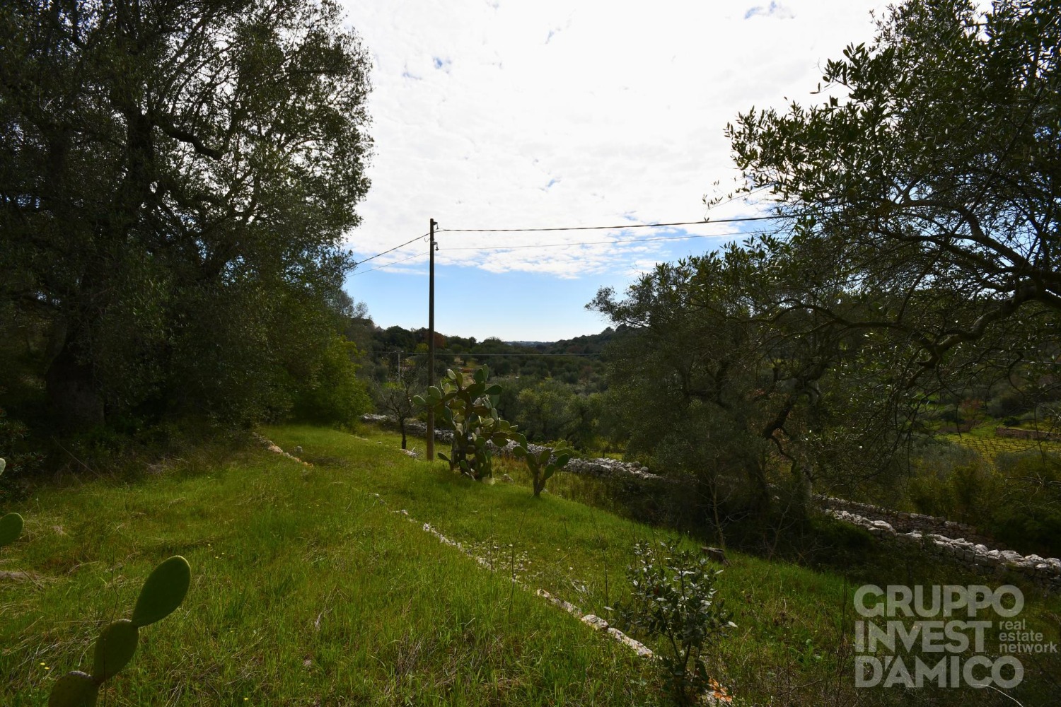 immagine annuncio 3 di 11