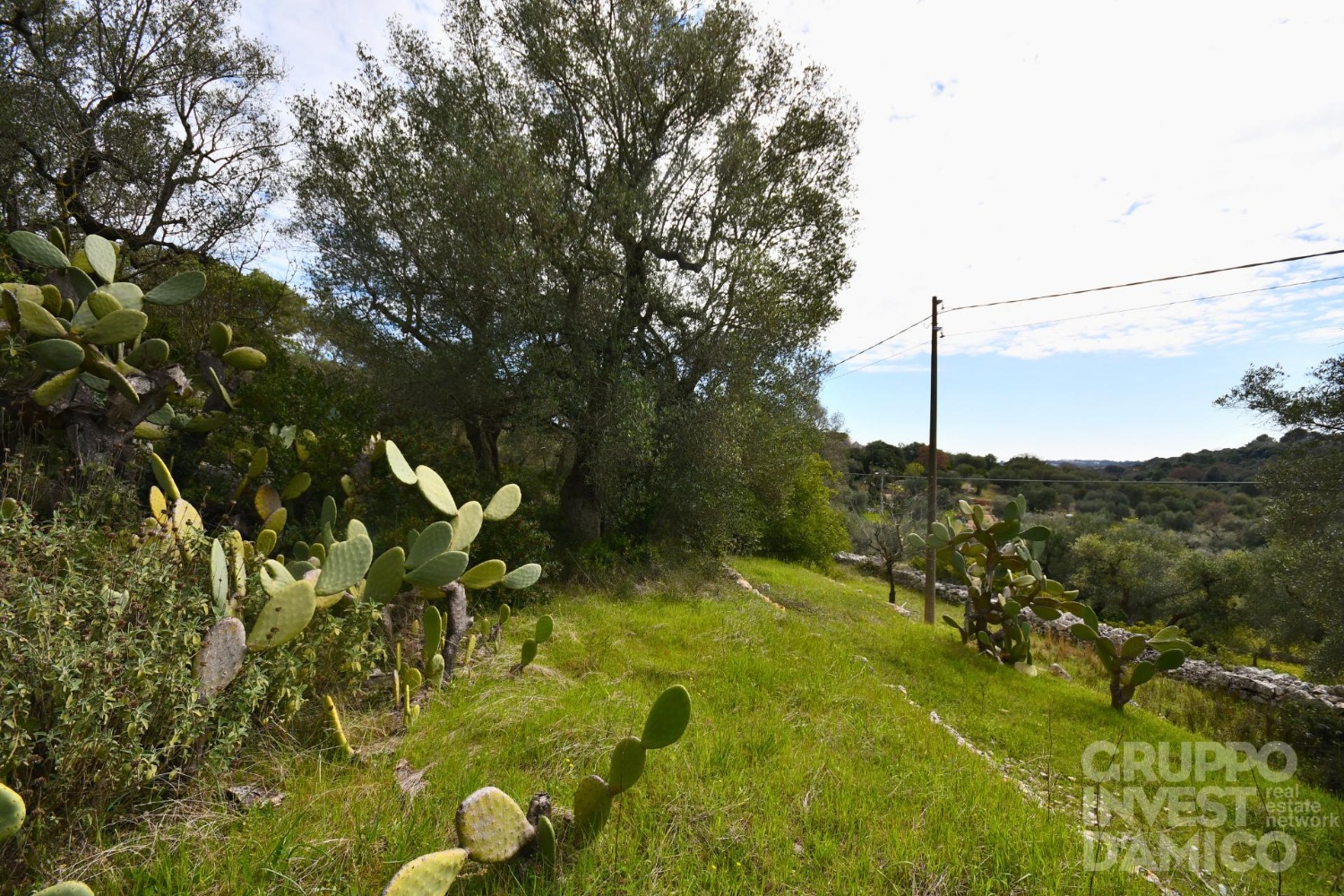 immagine annuncio 4 di 11