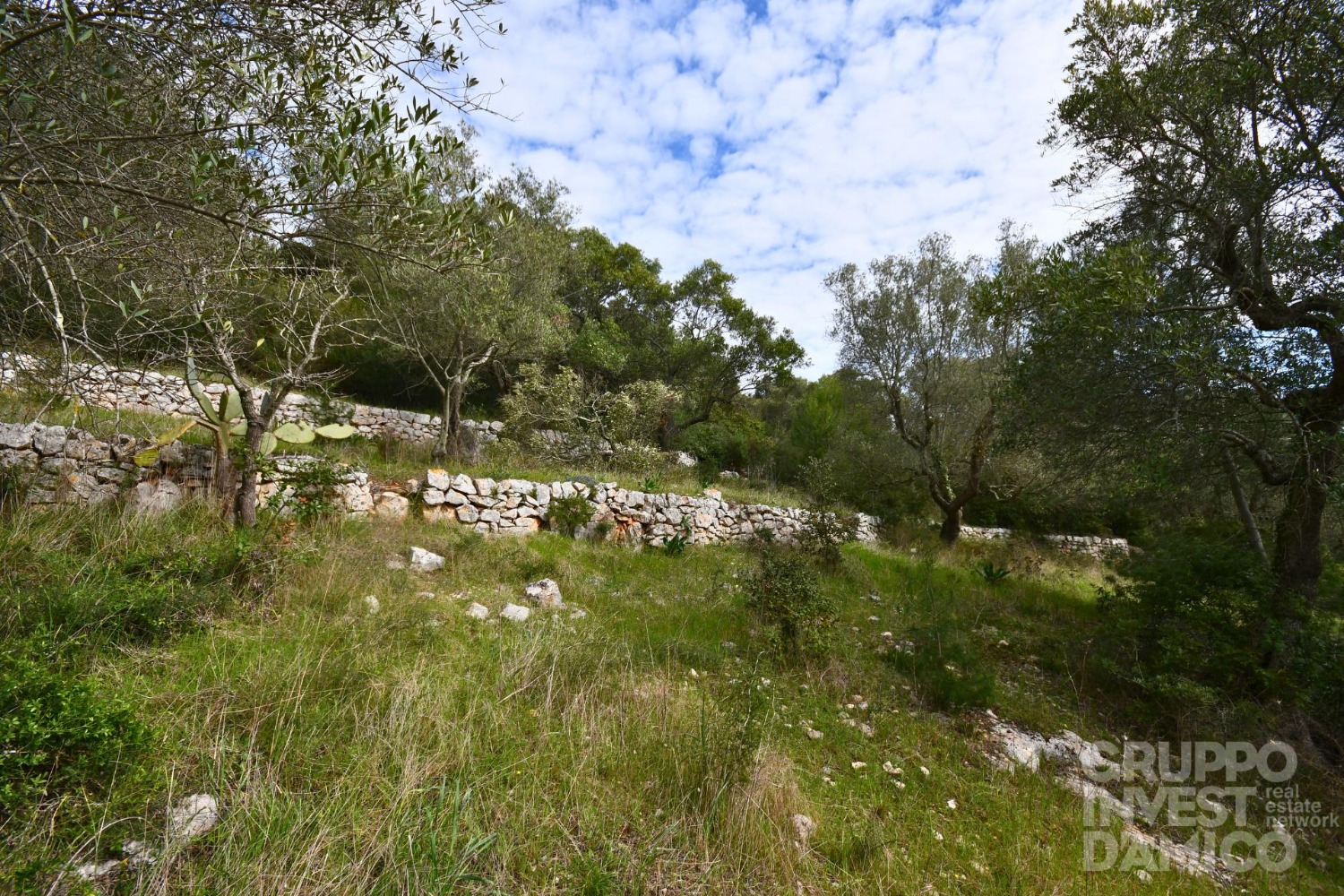 immagine annuncio 9 di 11