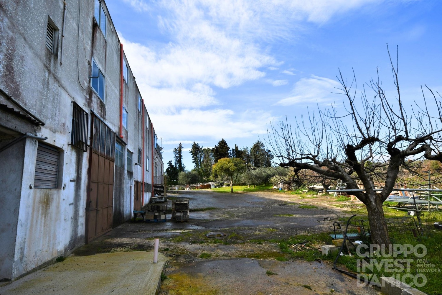 immagine annuncio 1 di 13