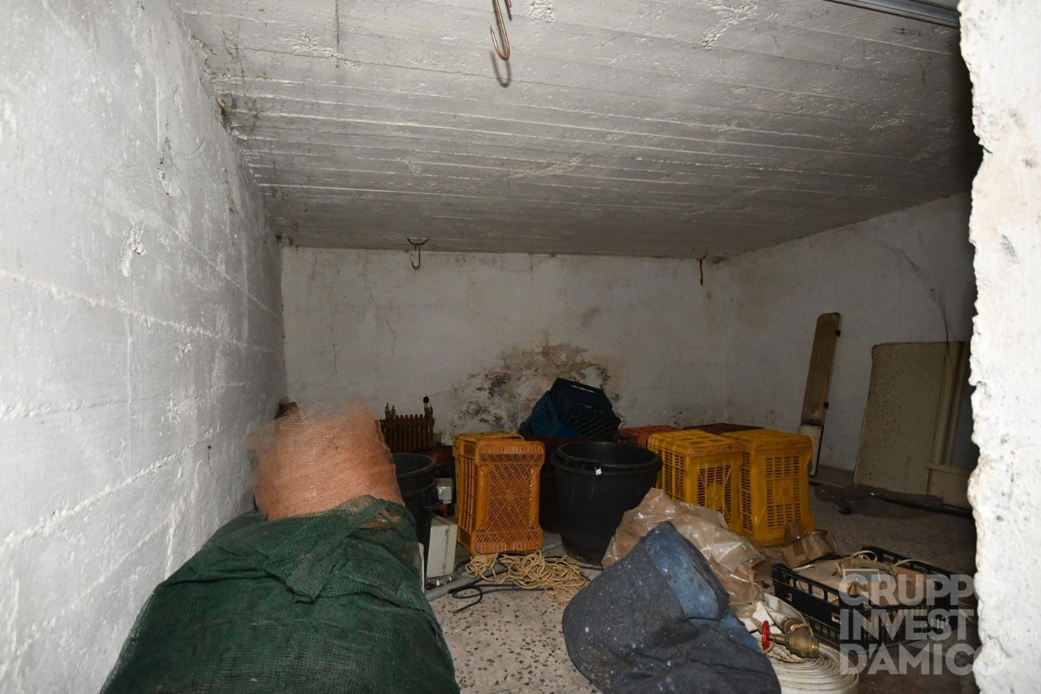 immagine annuncio 9 di 13