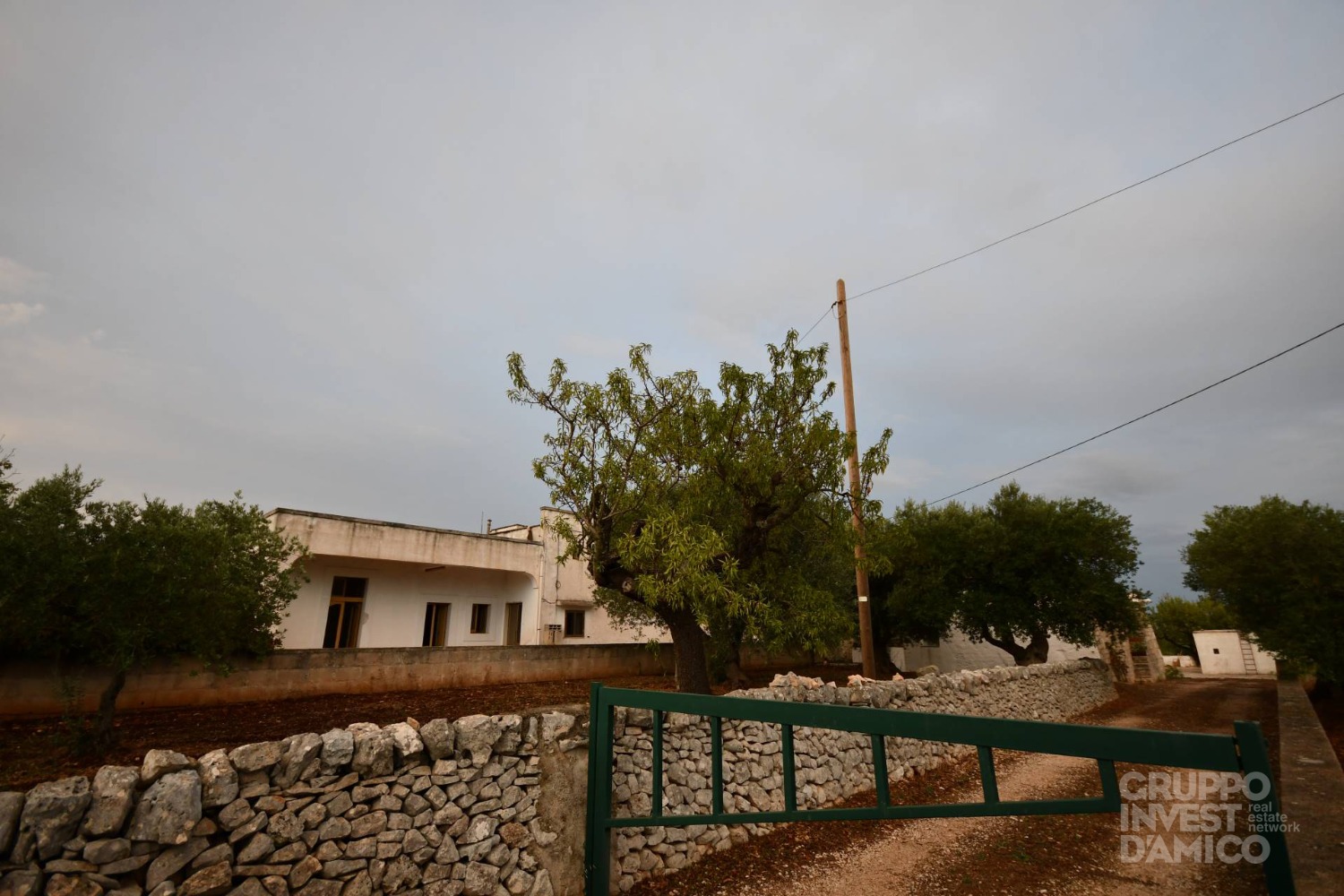 immagine annuncio 1 di 14