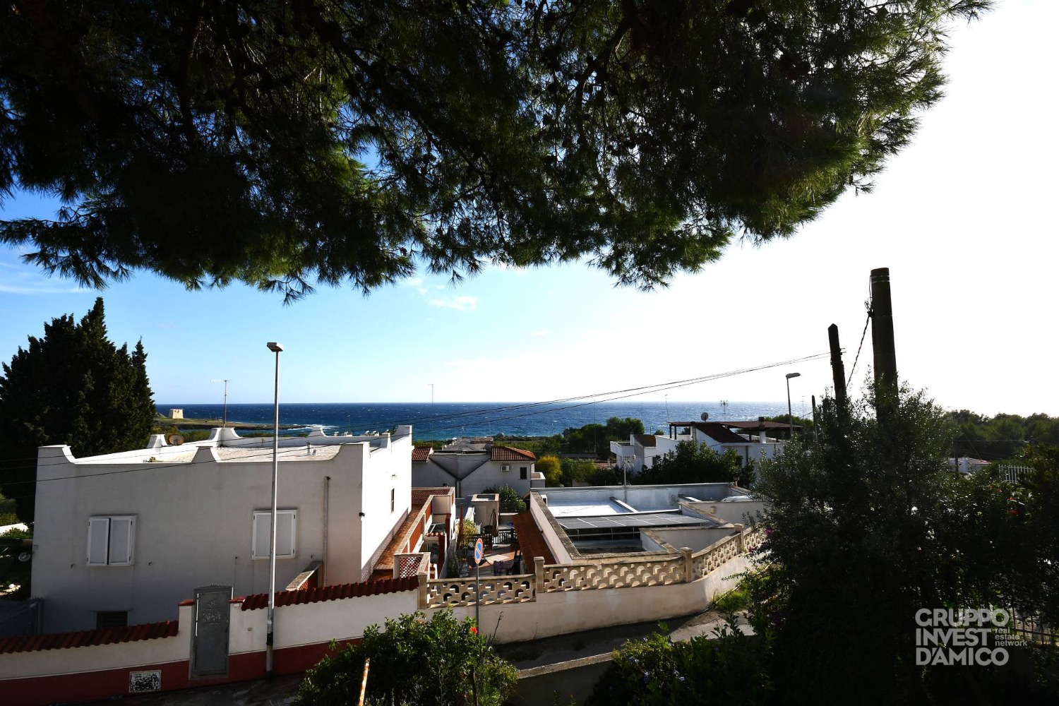 immagine annuncio 11 di 14