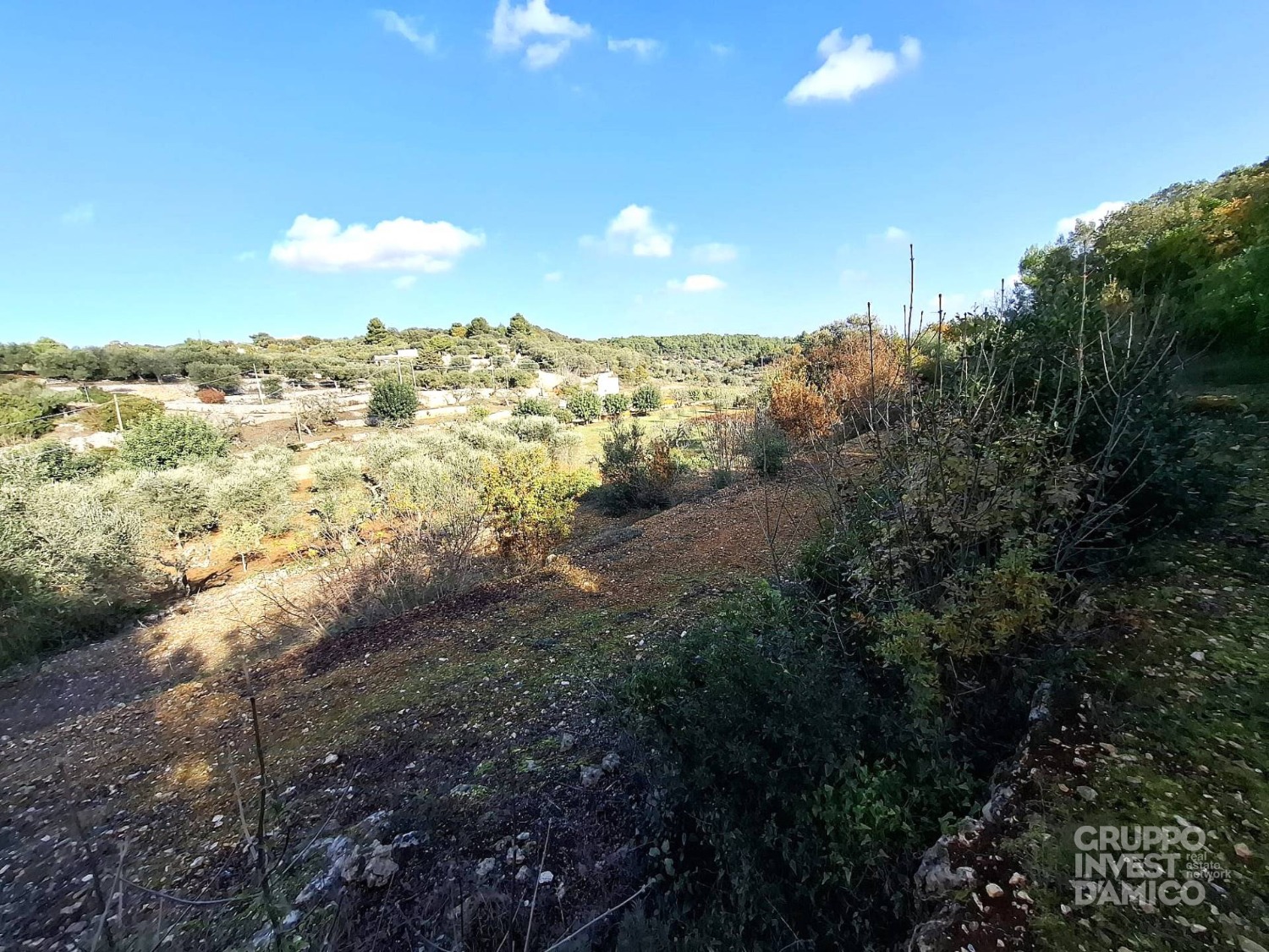 immagine annuncio 1 di 6