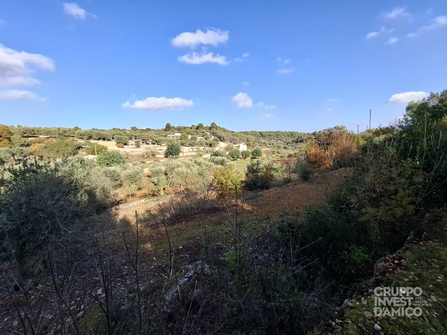 immagine annuncio 3 di 6