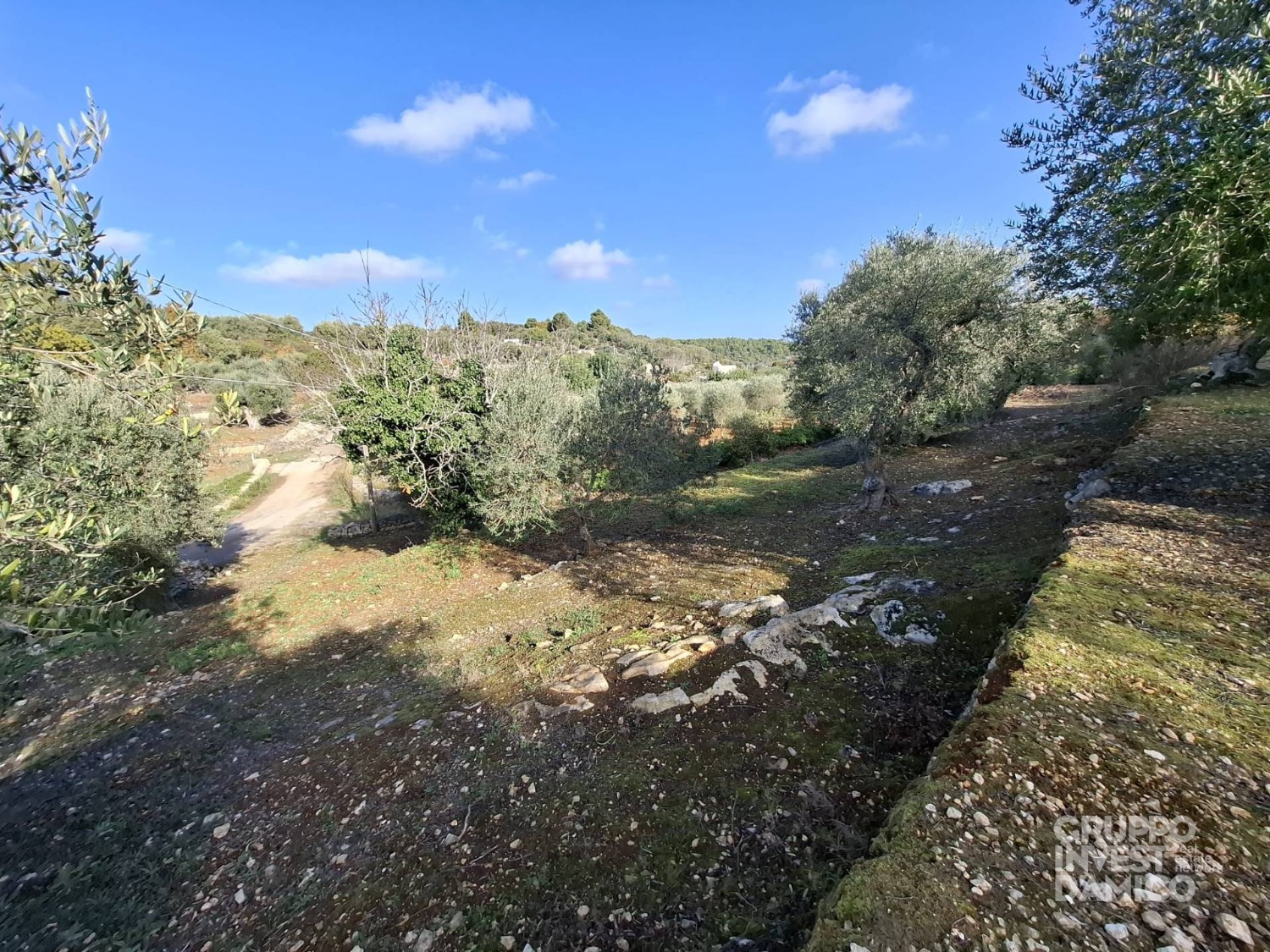 immagine annuncio 4 di 6