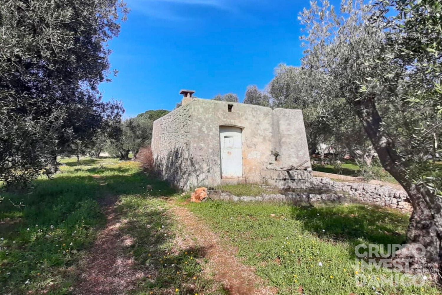 immagine annuncio 1 di 13