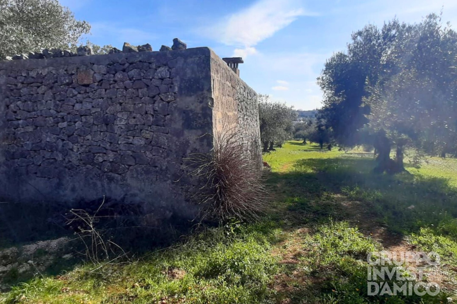 immagine annuncio 3 di 13