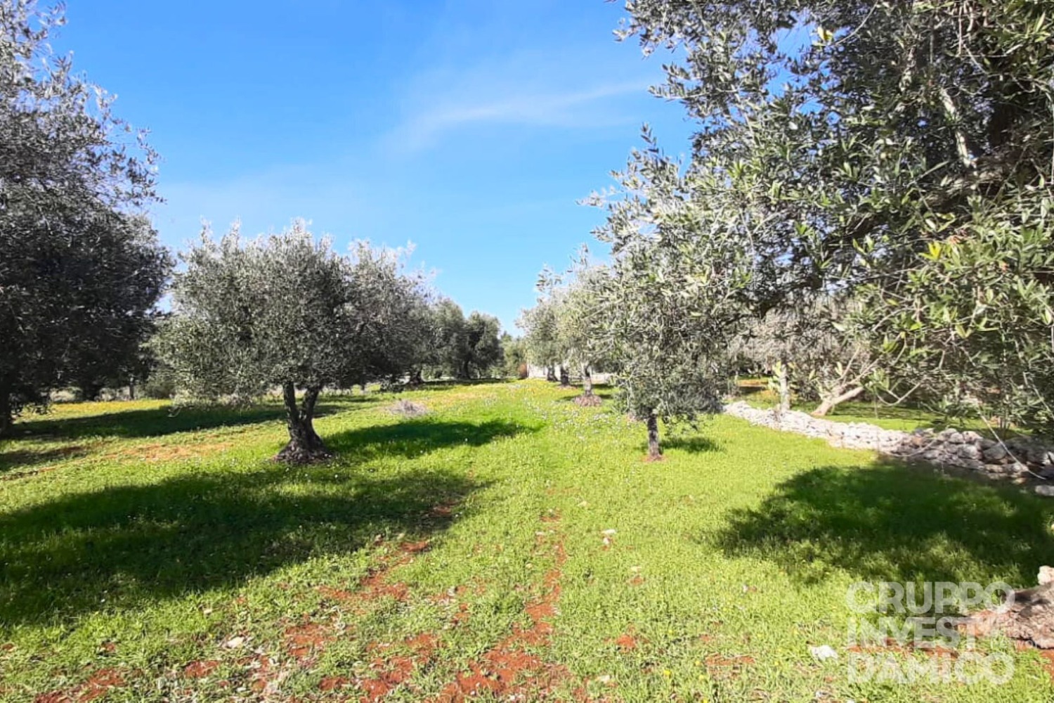 immagine annuncio 6 di 13