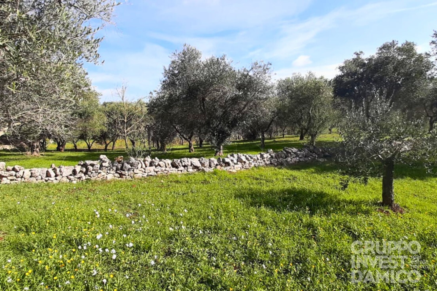 immagine annuncio 9 di 13