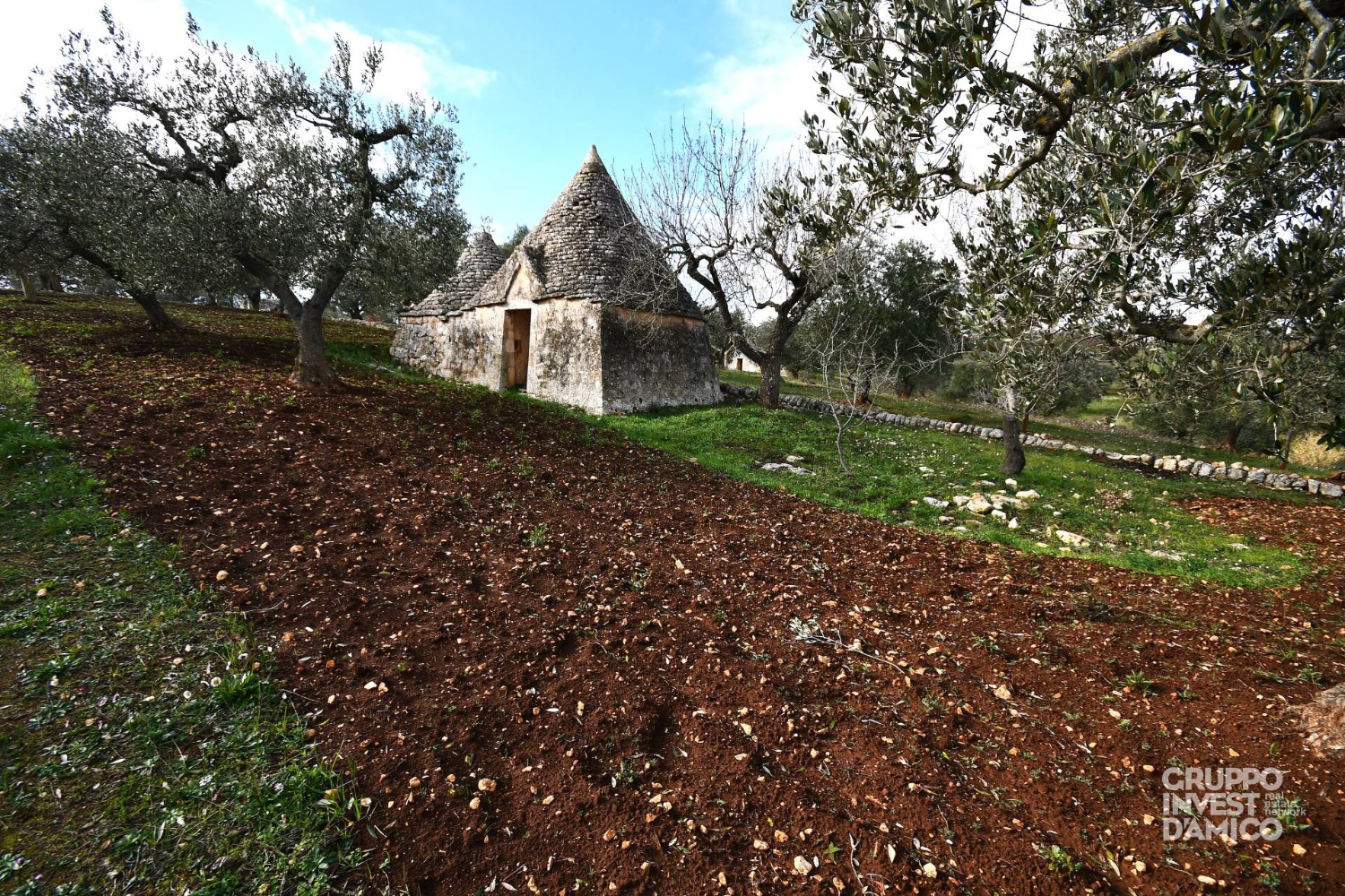 immagine annuncio 1 di 10