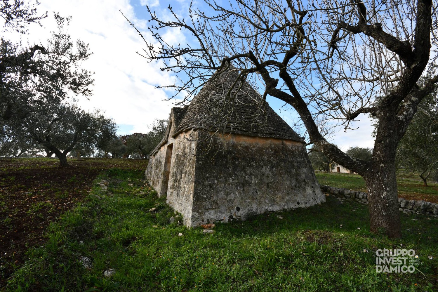 immagine annuncio 2 di 10